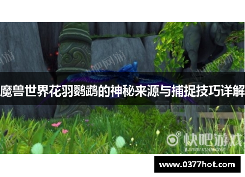 comment-img
